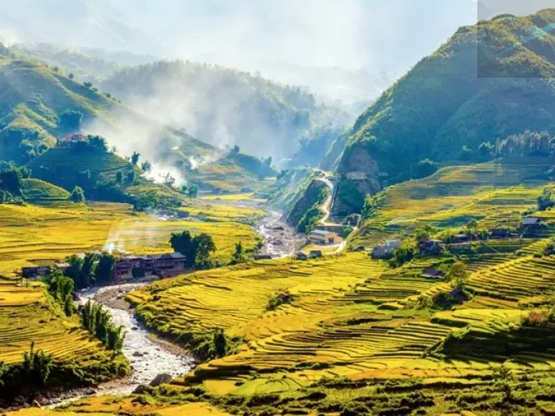 Sapa