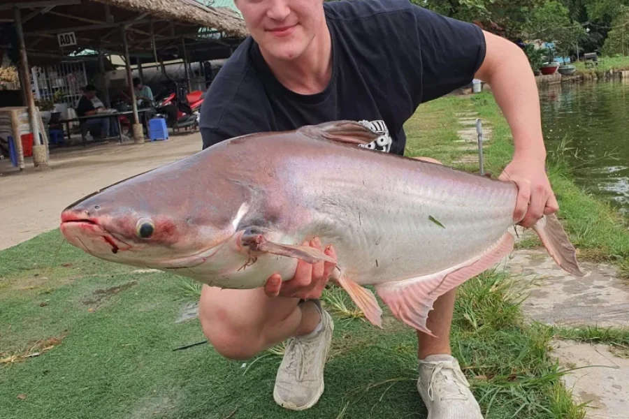 Nha Be Mekong Giant Catfish Fishing Tour