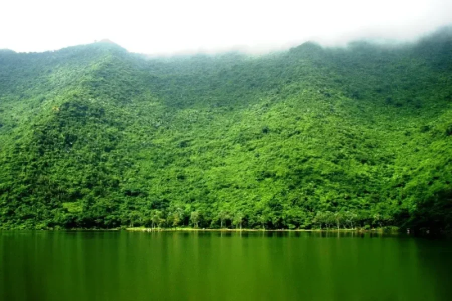 Big Fish Adventure in Ninh Binh – Yen Quang Lake Experience