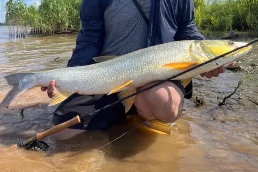 The Ultimate Vietnam Lure Fishing Journey