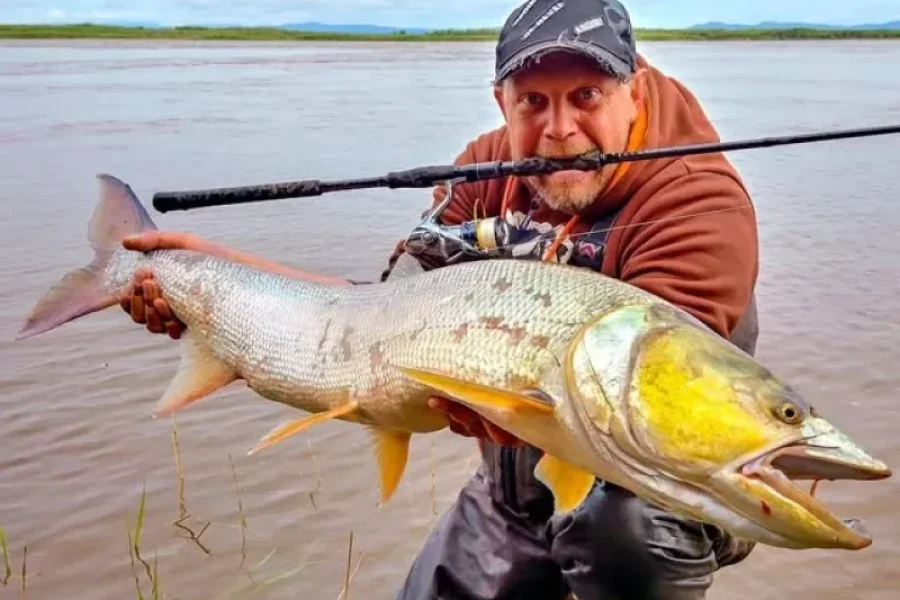 Yellowcheek Fishing ()