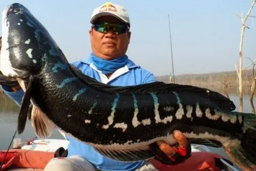 Dong Mo Lake Fishing Tour – Hanoi