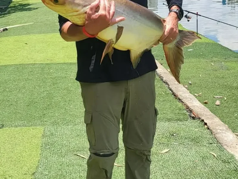 Hai Den Fishing Lake – Conquer Giants Up to 62kg