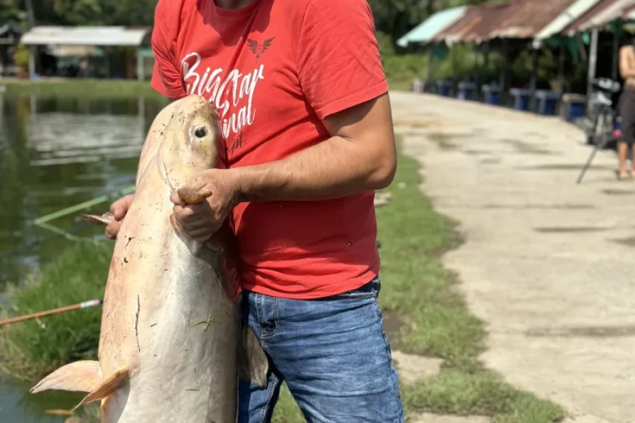 Fishing Tour