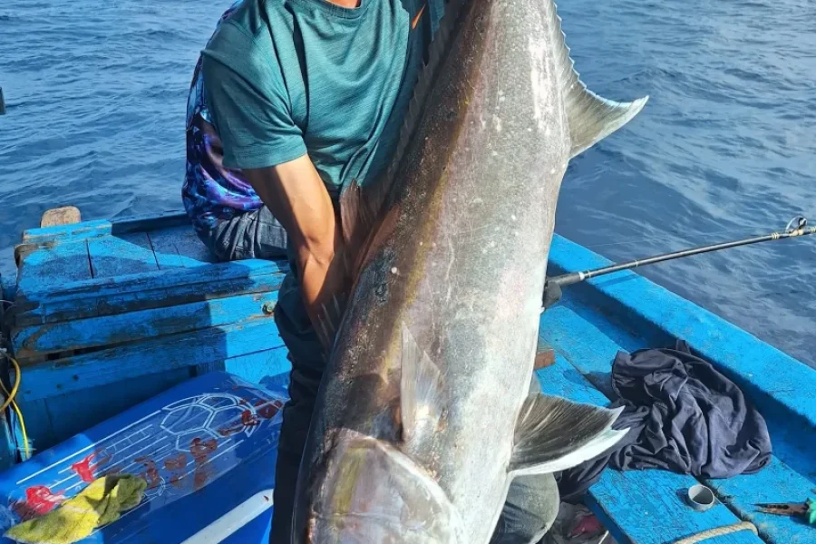 Deep Sea Fishing Charter from Nha Trang – Days Night ()