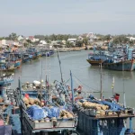 explore vietnam fishing tours discover the best spots and target species