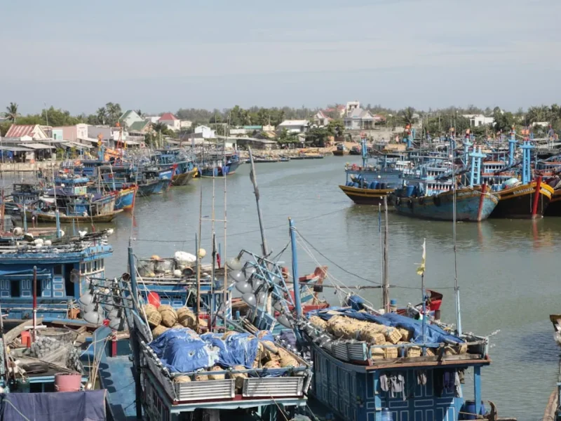 explore vietnam fishing tours discover the best spots and target species
