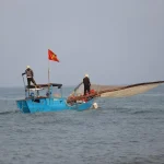 saltwater vs freshwater fishing in vietnam key differences