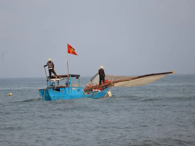 saltwater vs freshwater fishing in vietnam key differences