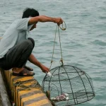 top fish species in vietnam from mekong giants to ocean predators