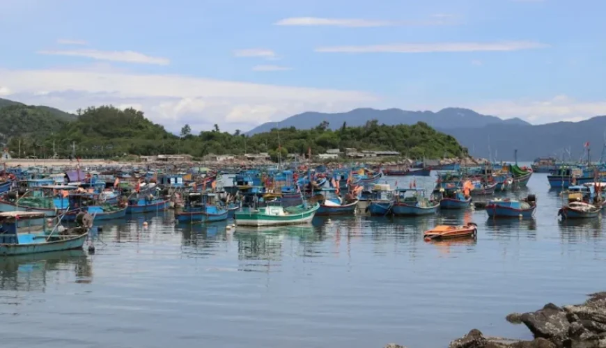 best fishing locations in vietnam north central and south breakdown