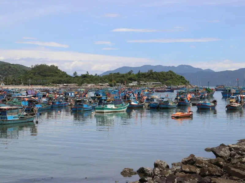 best fishing locations in vietnam north central and south breakdown