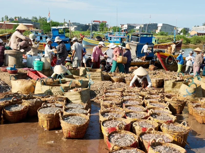 essential guide bringing your own fishing gear to vietnam for anglers