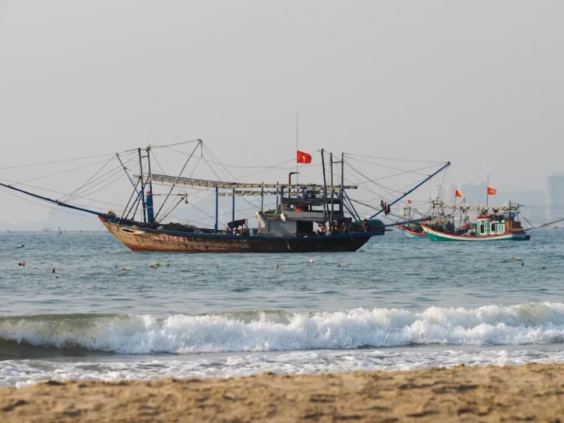 fishing for barracuda in vietnam techniques and spots