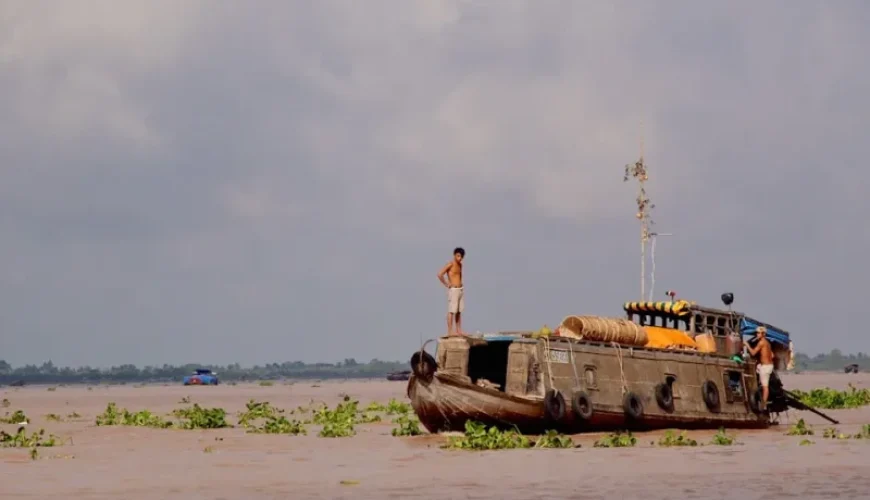 fishing for tuna in vietnam best locations and tips