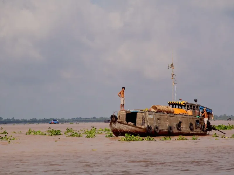 fishing for tuna in vietnam best locations and tips