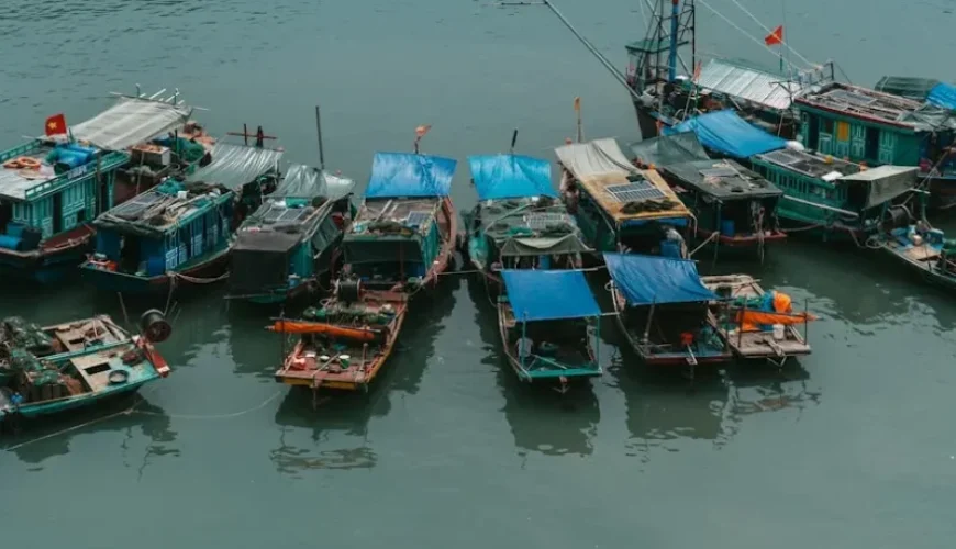 fishing in con dao islands untouched waters