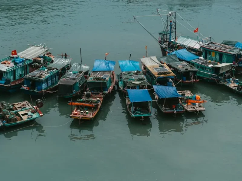 fishing in con dao islands untouched waters
