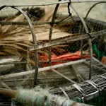 fishing in vietnam during dry season best opportunities