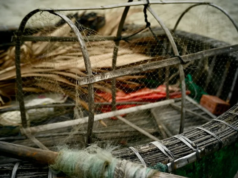 fishing in vietnam during dry season best opportunities