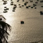 fishing insurance for travel in vietnam do you need it