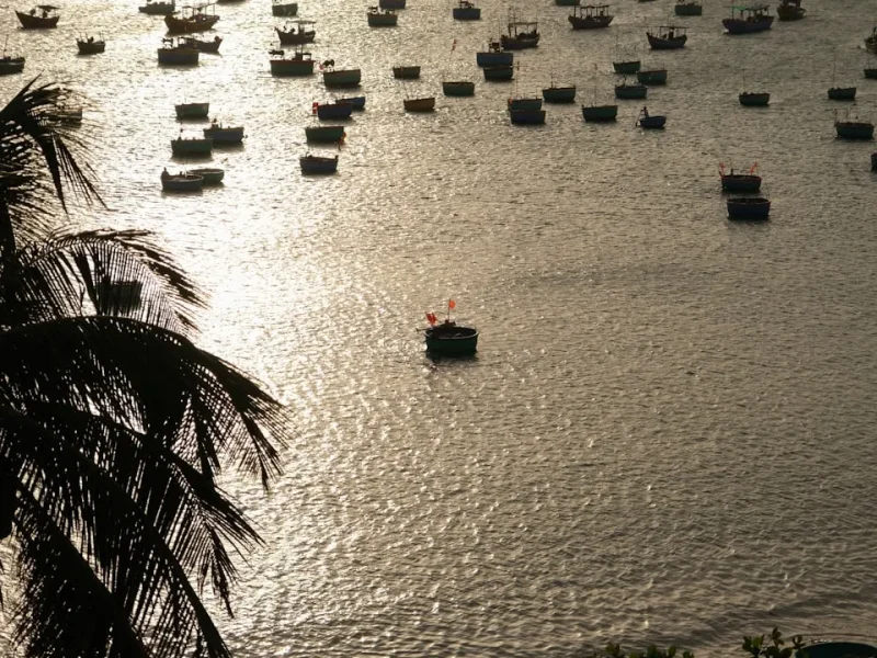 fishing insurance for travel in vietnam do you need it