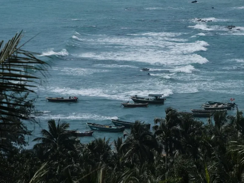 how to save money on fishing tours in vietnam