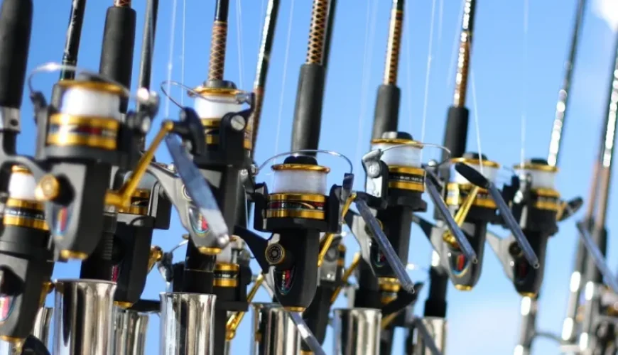 night fishing in vietnam what to expect and best locations