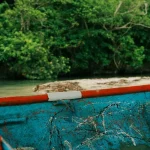 top coastal fishing routes in vietnam
