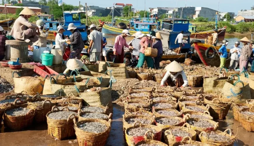 tuna fishing in vietnam top spots techniques and gear guide