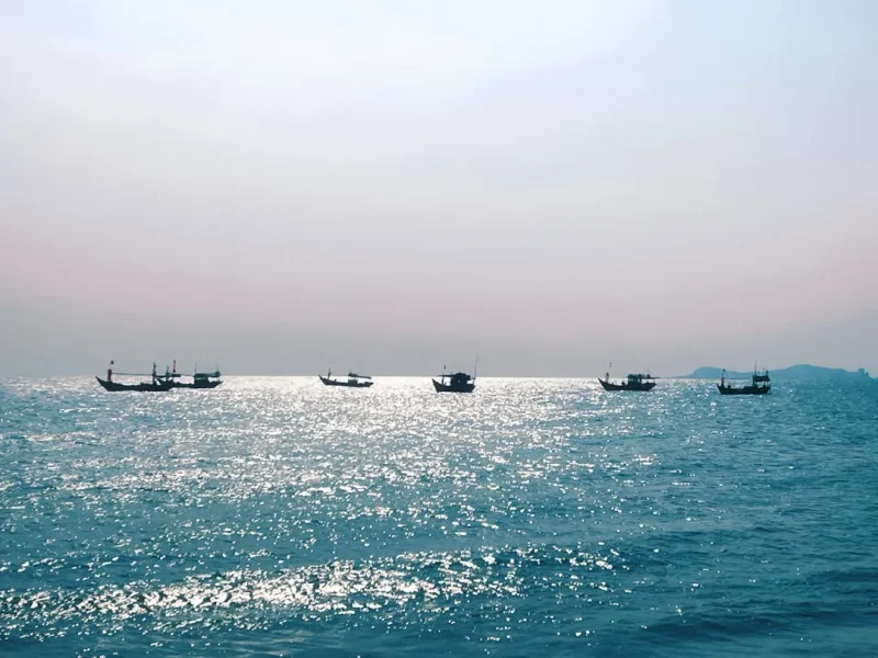 uncover the thrills of tuna fishing in vietnam top spots and secrets