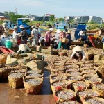 uncovering spearfishing in vietnam rules spots and secrets for anglers