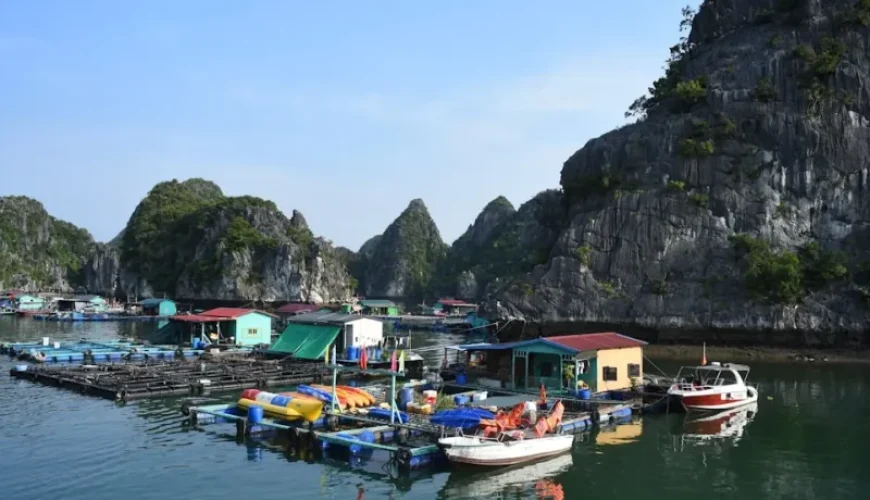 unraveling unique fishing experiences in vietnam a deep dive