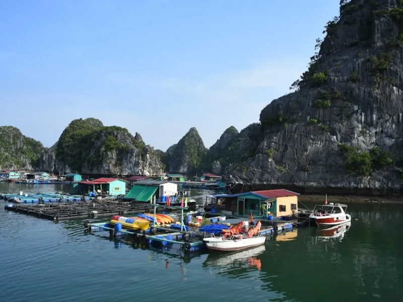 unraveling unique fishing experiences in vietnam a deep dive
