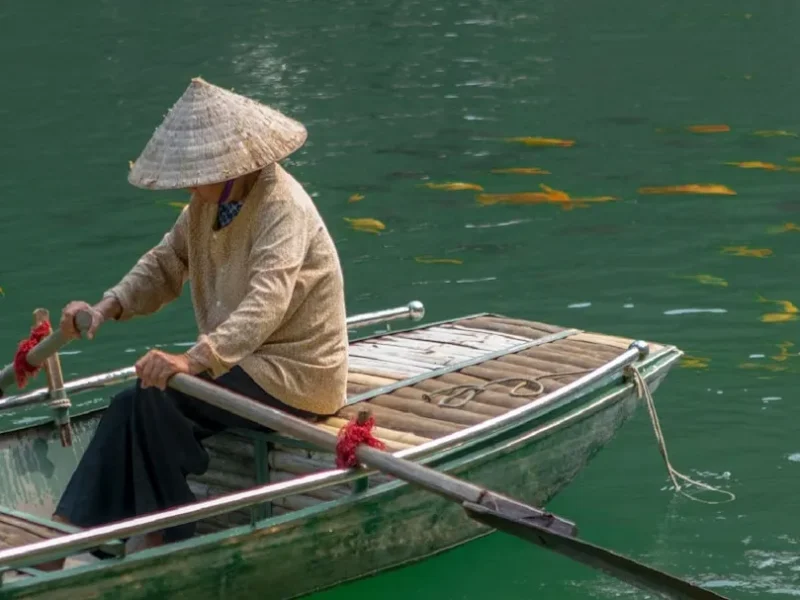 discover the best fishing opportunities in vietnams dry season
