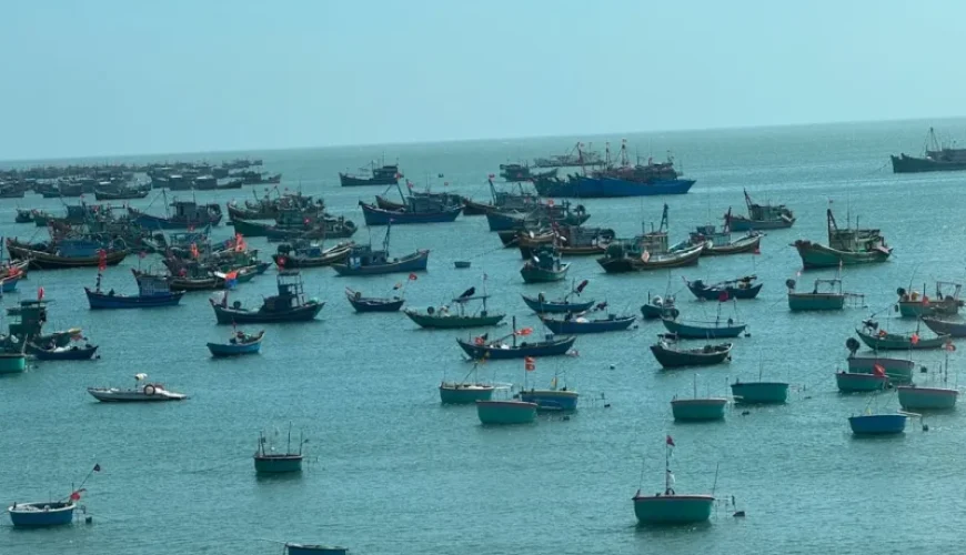discovering halong bay an unforgettable fishing adventure awaits