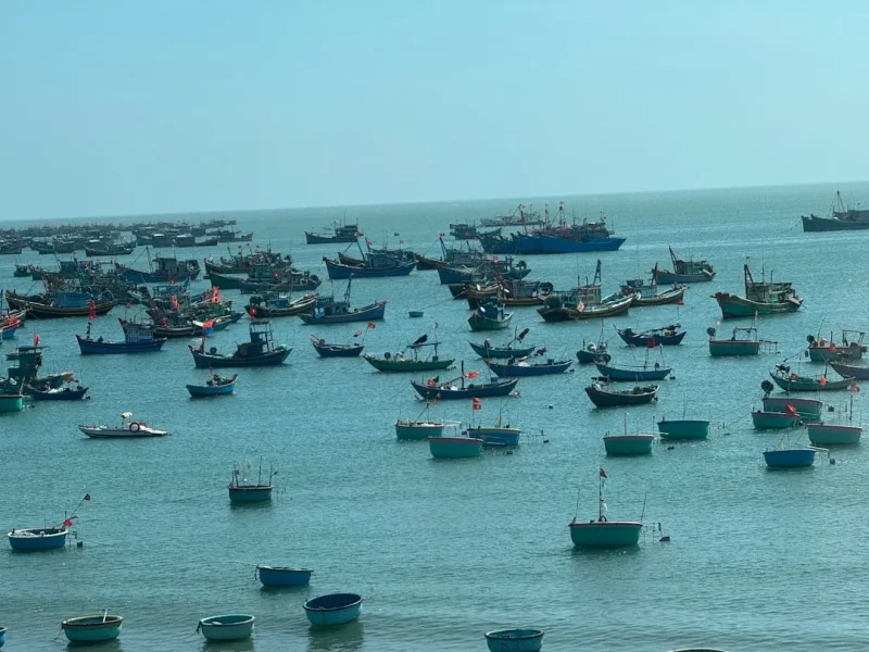 discovering halong bay an unforgettable fishing adventure awaits