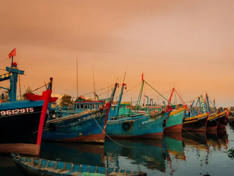 essential equipment for deep sea fishing in vietnam your guide