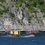 essential fishing apps and tools every traveler needs in vietnam