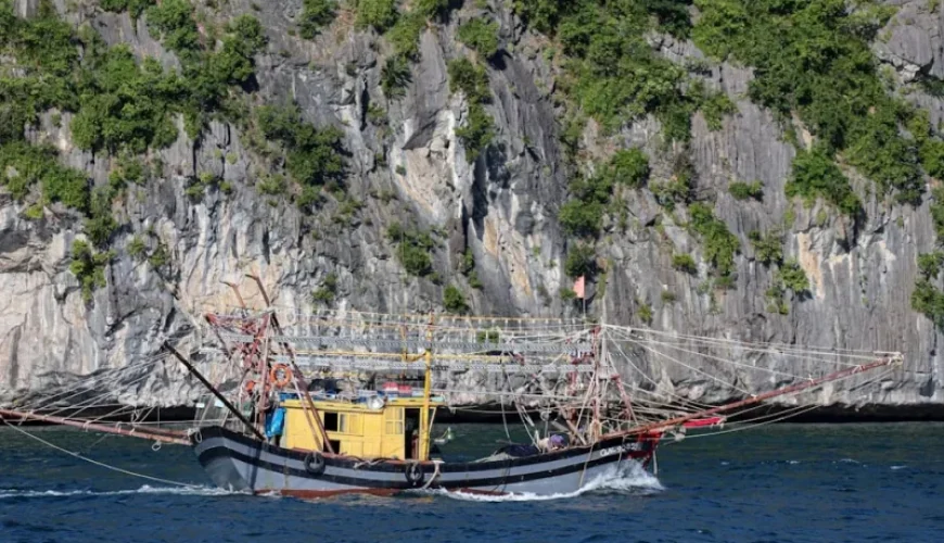 essential fishing apps and tools every traveler needs in vietnam
