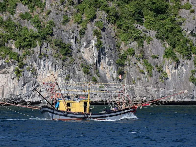 essential fishing apps and tools every traveler needs in vietnam
