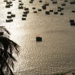essential fishing regulations in vietnam what every visitor needs to know