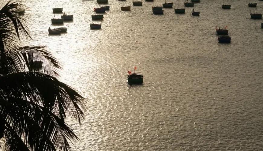 essential fishing regulations in vietnam what every visitor needs to know