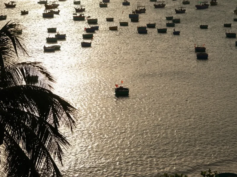 essential fishing regulations in vietnam what every visitor needs to know