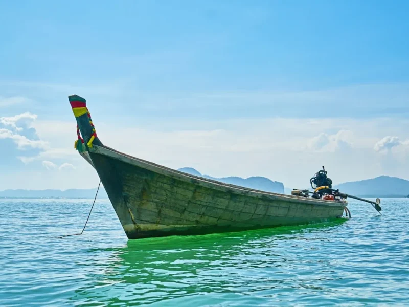 essential fishing trip planning checklist for an unforgettable vietnam adventure