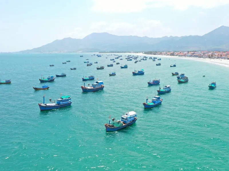 explore vietnams best ecofriendly fishing tours for conscious travelers