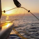 fishing in vietnam everything you need to know about licenses