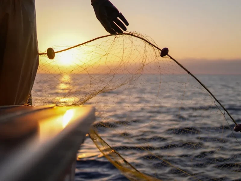 fishing in vietnam everything you need to know about licenses