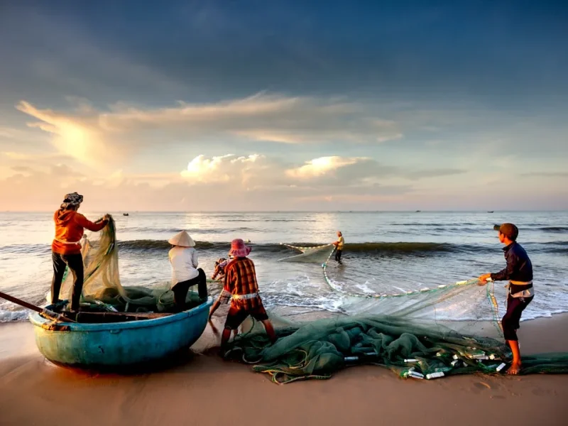 optimal seasons for big fish a vietnamese fishing adventure