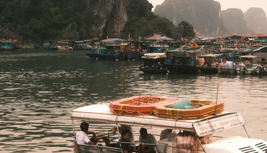 surprising insights on fishing tours in vietnam travelers share their tales